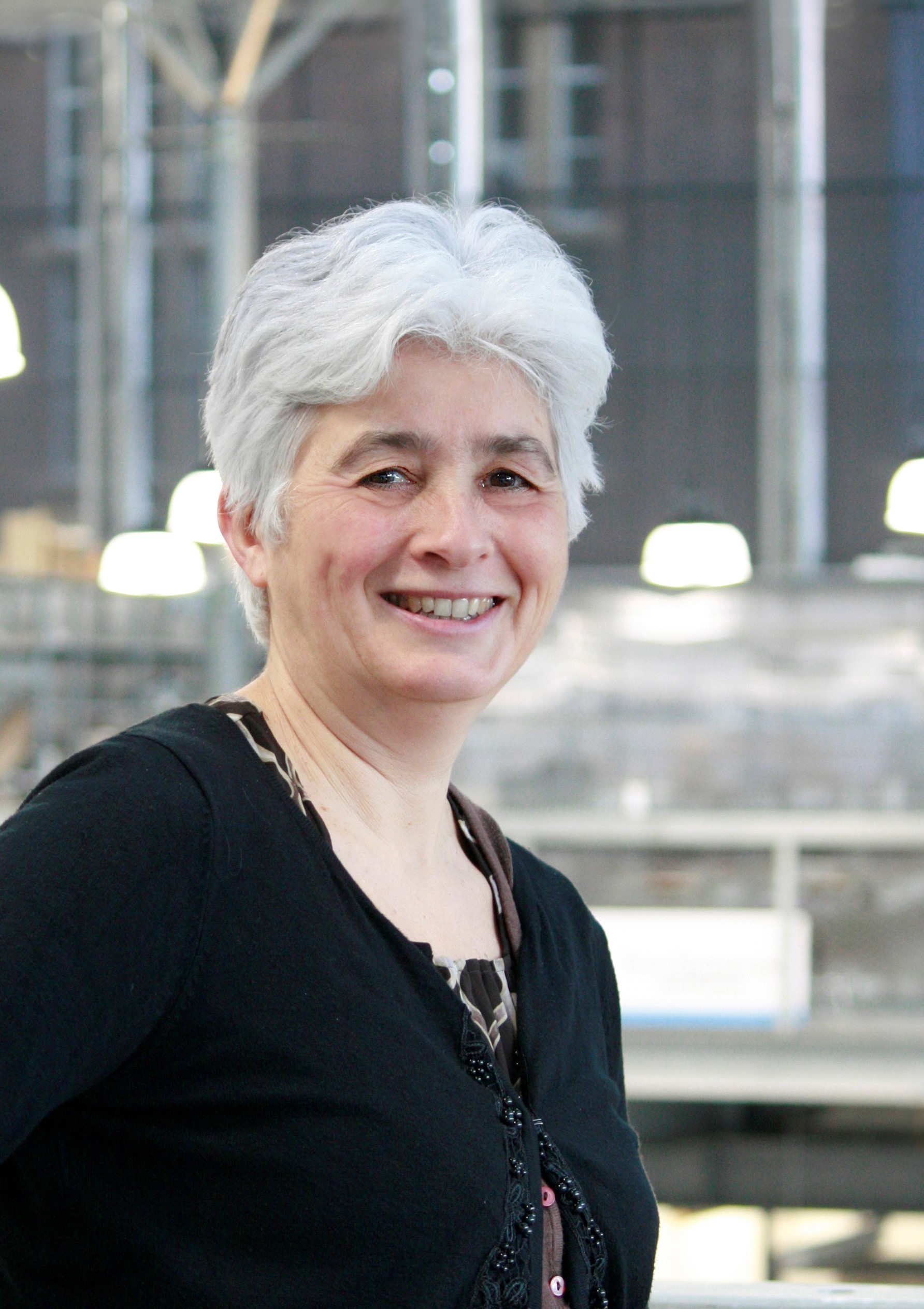Laure Itard TU Delft OCW Laure Itard TU Delft OCW