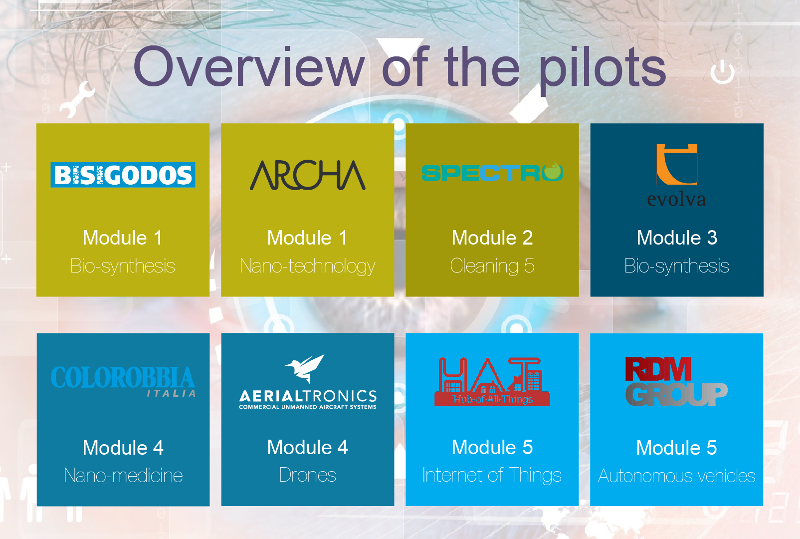 Overview_Pilots