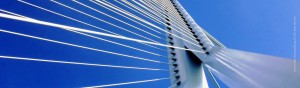 Rotterdam Erasmusbrug CC BY: Kees de Vos
